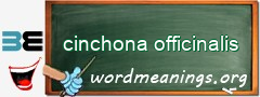 WordMeaning blackboard for cinchona officinalis